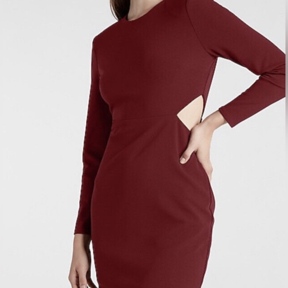 Express Burgundy Long Sleeve Sheath Dress